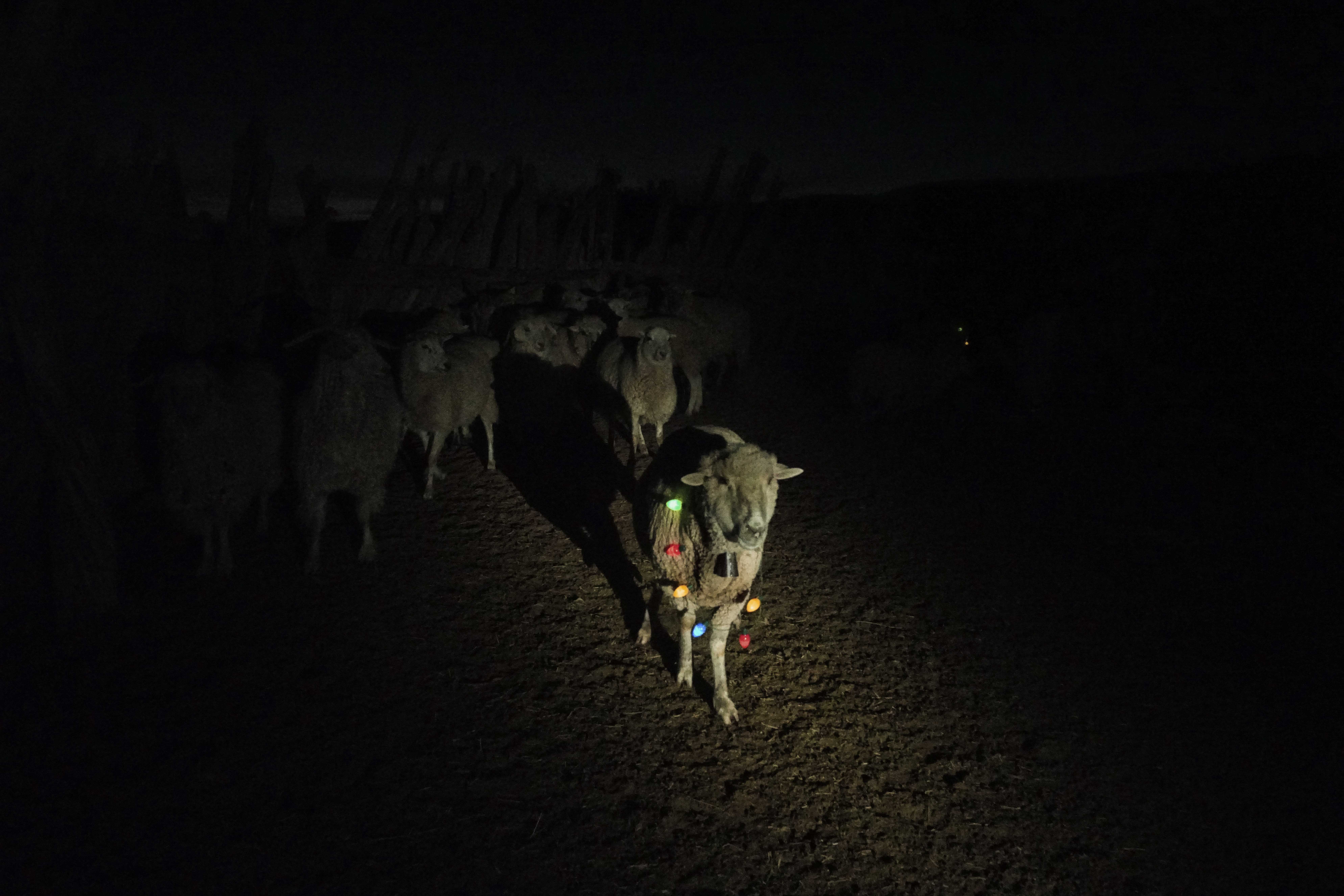 merry christmas from the rez